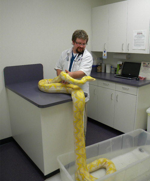 Reptile Vet Fort Wayne at William Graybeal blog